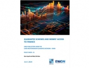 EMEA_EMGN_PP01_Guarantee_Schemes_MSME_Access_to_Finance
