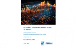 EMEA_EMGN_PP01_Guarantee_Schemes_MSME_Access_to_Finance