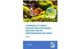 EMEA_PP_Proposal_to_fund_Recovery_Mediterranean_Africa